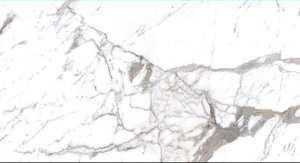 M1861R
