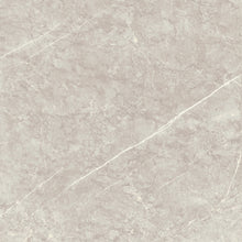 Load image into Gallery viewer, Y60189